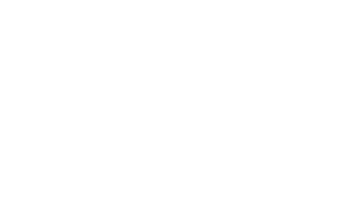 elgin-logo.png